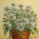 241 Daisies  - 3 ply -  (cream) - Fasana